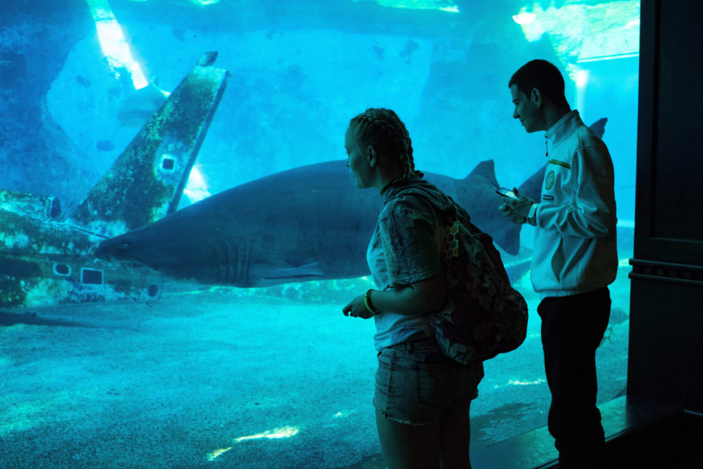 77. Ushaka Marine World Lucy, Steven & Shark: Lucy and Steven look through a glass wall into a blue tank as a shark swims passed.