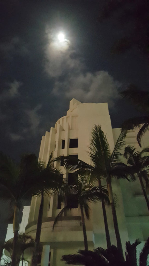 84. Moon over Suncoast Durban: The moon shines through a dark sky with a faint view of clouds. In the fore ground palms trees stand in front of a white art deco building